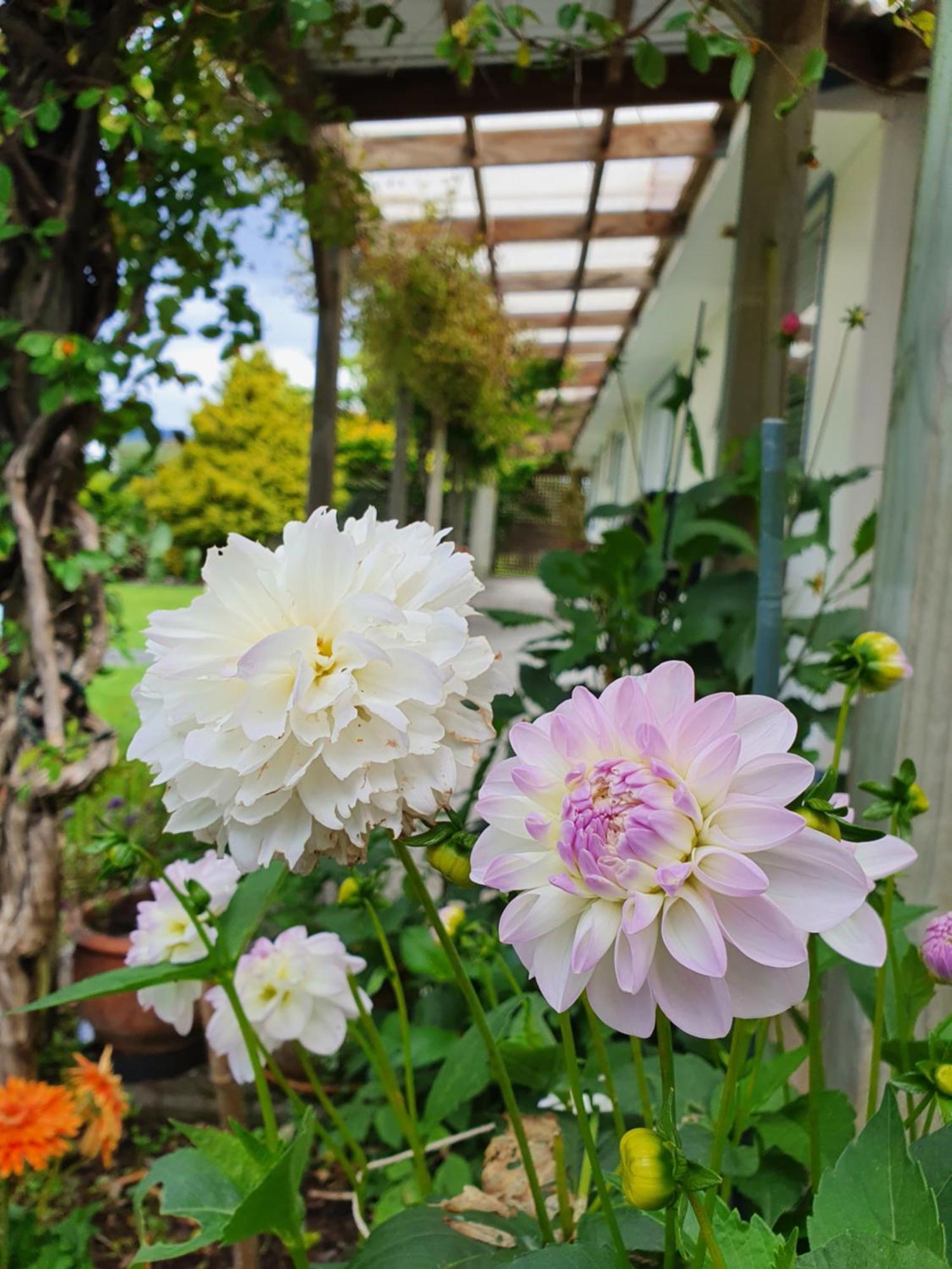 Tongariro Crossing Lodge National Park Εξωτερικό φωτογραφία